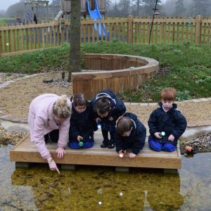 Looking for tadpoles