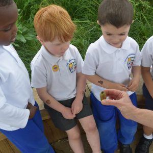 students looking at teacher with acorn