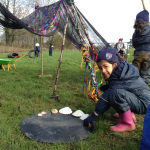 shell collecting