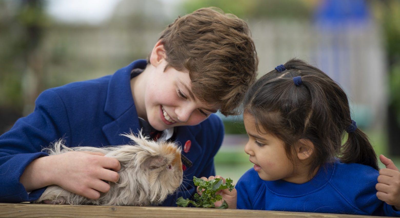 children with guinea pigs