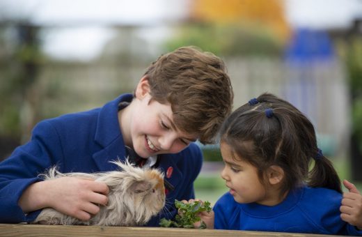 children with guinea pigs